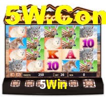 5Win